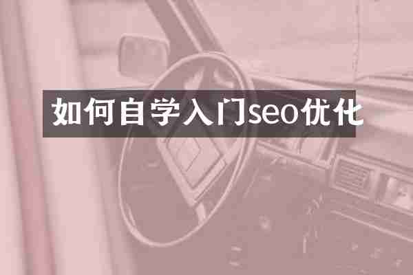 如何自学入门seo优化