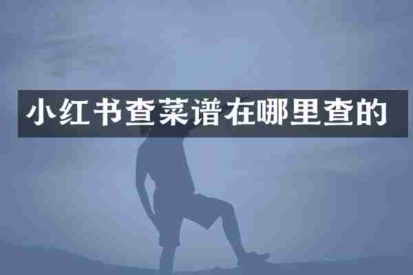 小红书查菜谱在哪里查的