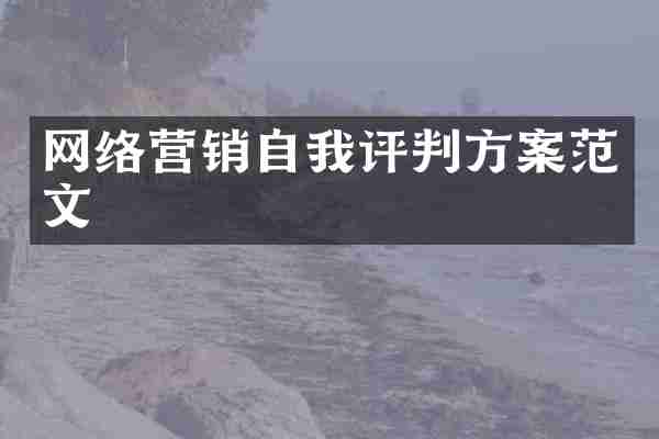 网络营销自我评判方案范文