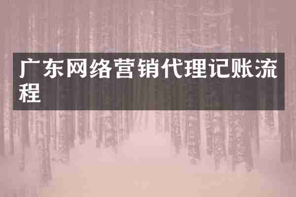 广东网络营销代理记账流程