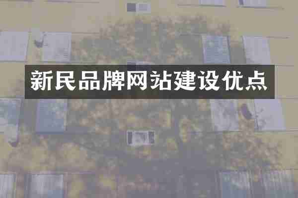 新民品牌网站建设优点