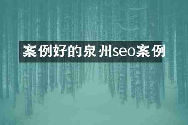 案例好的泉州seo案例