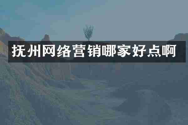 抚州网络营销哪家好点啊