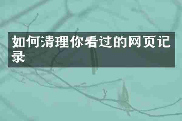 如何清理你看过的网页记录