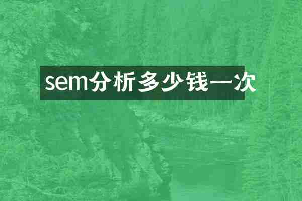 sem分析多少钱一次