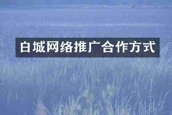 白城网络推广合作方式
