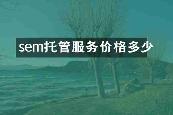 sem托管服务价格多少