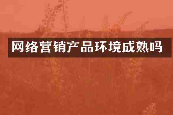网络营销产品环境成熟吗