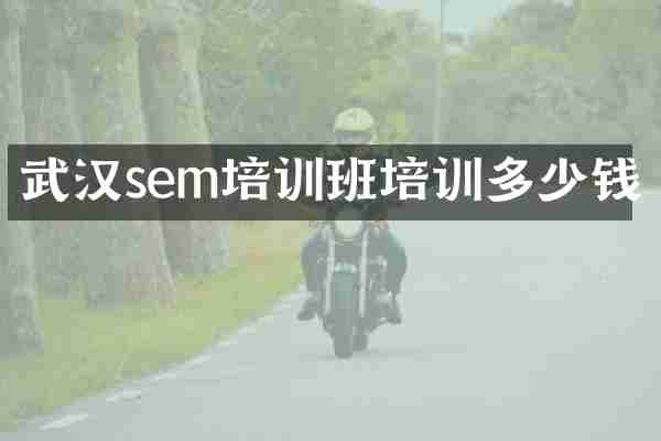 武汉sem培训班培训多少钱