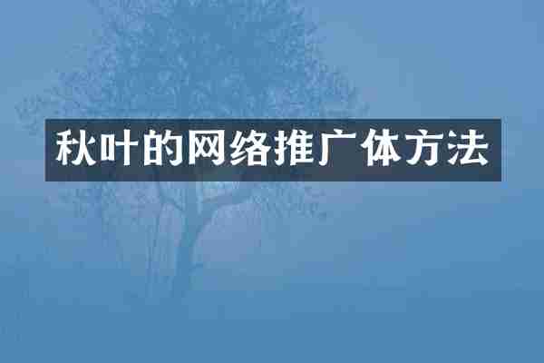 秋叶的网络推广体方法