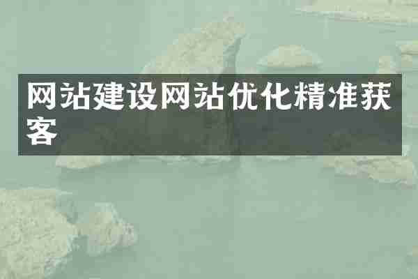 网站建设网站优化精准获客