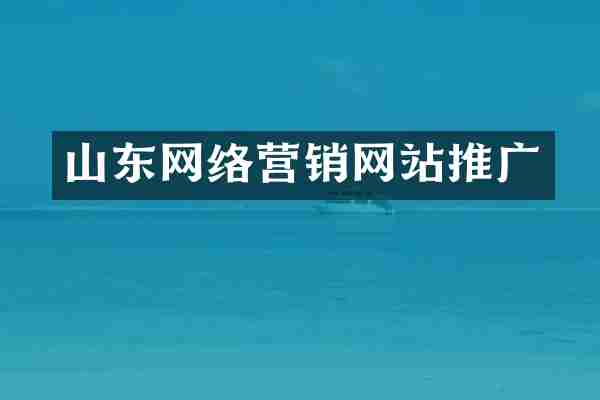 山东网络营销网站推广