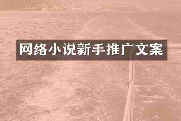 网络小说新手推广文案