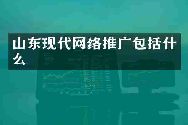 山东现代网络推广包括什么