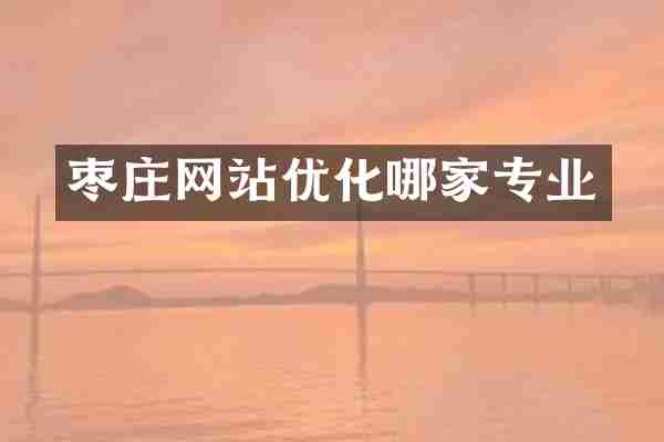 枣庄网站优化哪家专业