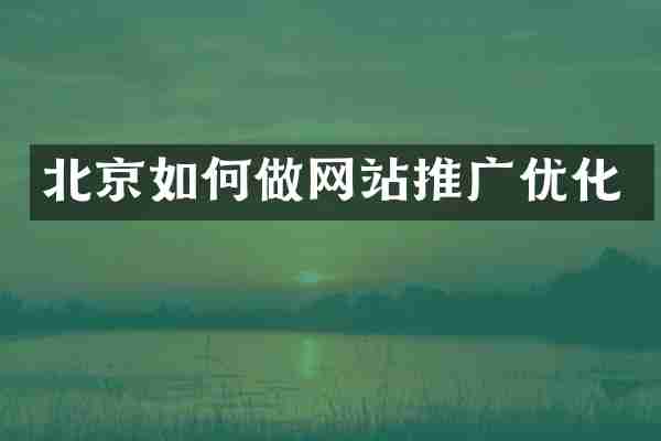北京如何做网站推广优化