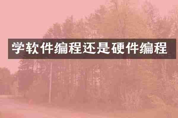 学软件编程还是硬件编程