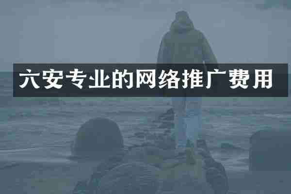 六安专业的网络推广费用
