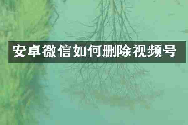 安卓微信如何删除视频号