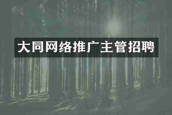 大同网络推广主管招聘