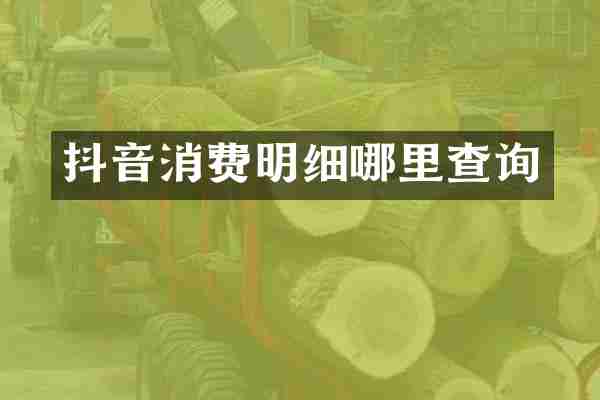 抖音消费明细哪里查询