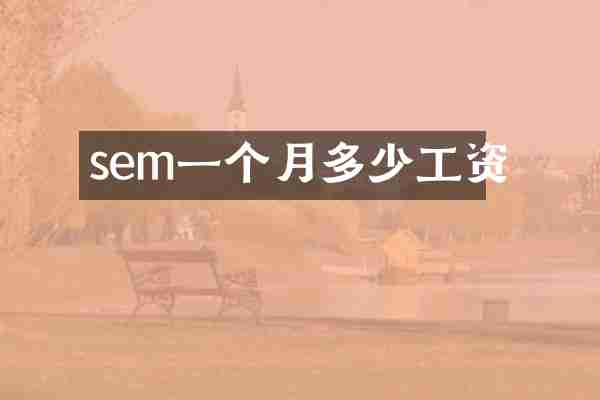 sem一个月多少工资