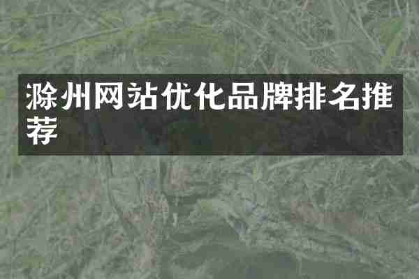 滁州网站优化品牌排名推荐