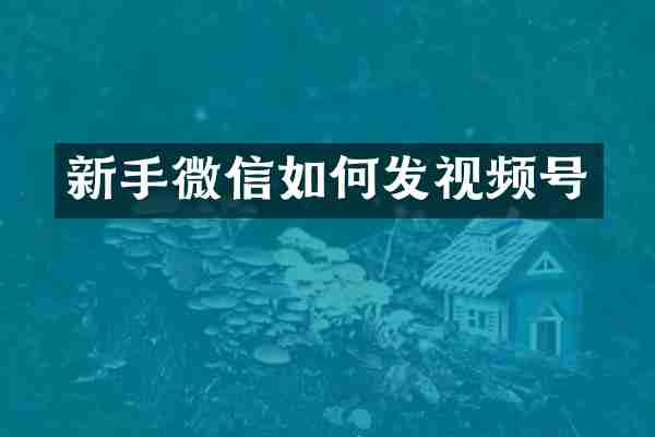 新手微信如何发视频号