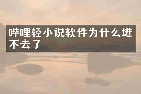 哔哩轻小说软件为什么进不去了