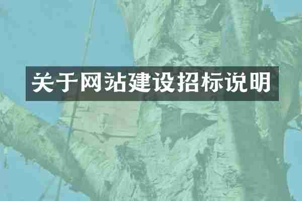 关于网站建设招标说明