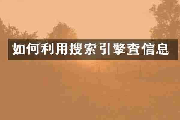 如何利用搜索引擎查信息