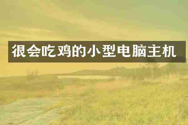很会吃鸡的小型电脑主机