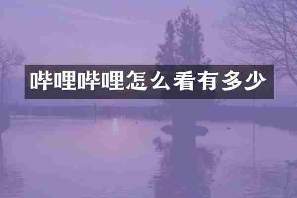 哔哩哔哩怎么看有多少
