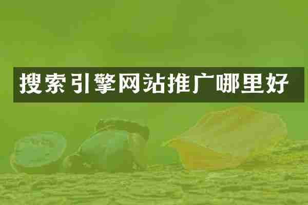 搜索引擎网站推广哪里好