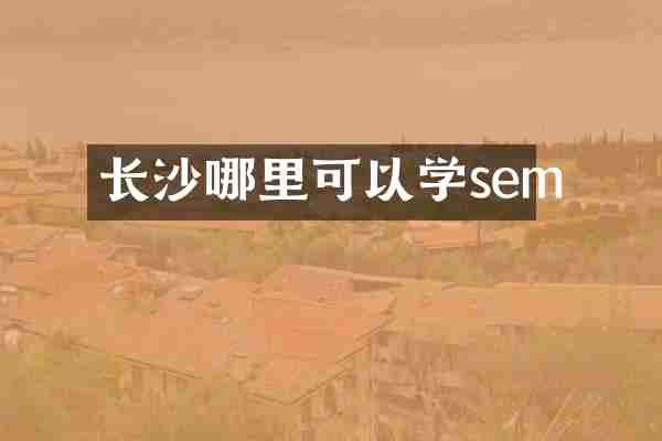 长沙哪里可以学sem