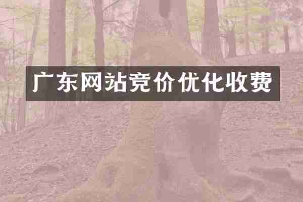 广东网站竞价优化收费