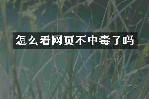 怎么看网页不中毒了吗