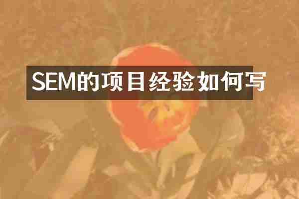 SEM的项目经验如何写