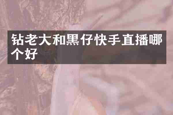 钻老大和黑仔快手直播哪个好