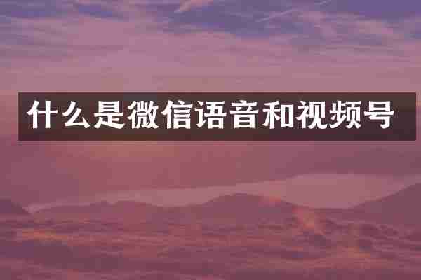 什么是微信语音和视频号