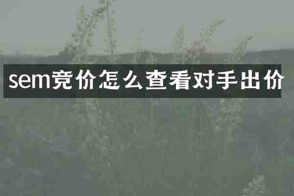 sem竞价怎么查看对手出价