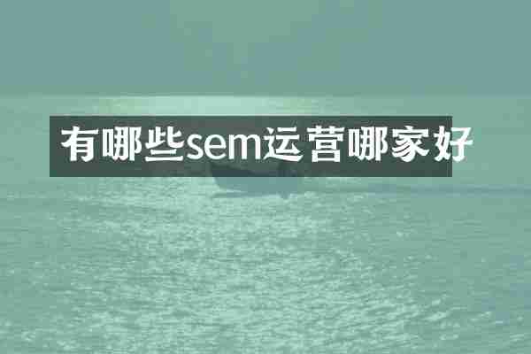 有哪些sem运营哪家好