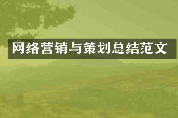 网络营销与策划总结范文