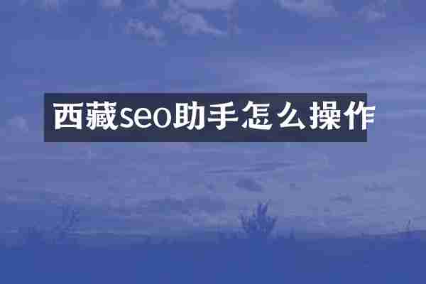西藏seo助手怎么操作