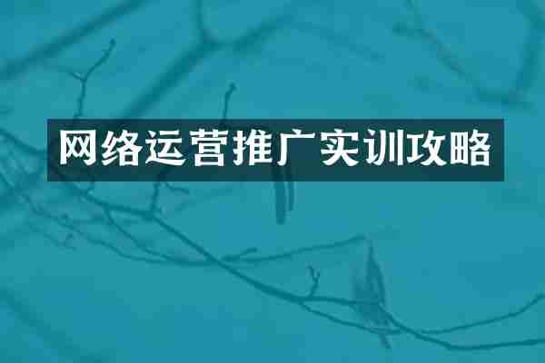 网络运营推广实训攻略