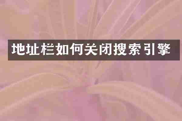 地址栏如何关闭搜索引擎