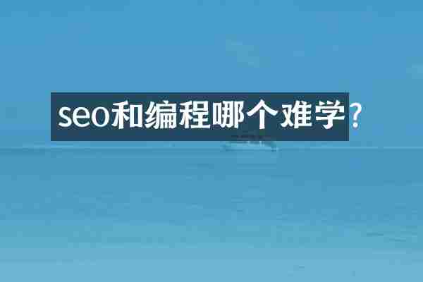 seo和编程哪个难学?