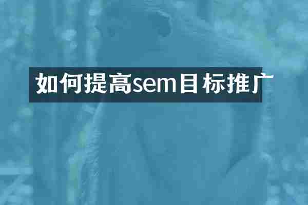 如何提高sem目标推广