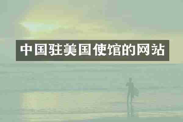 中国驻美国使馆的网站