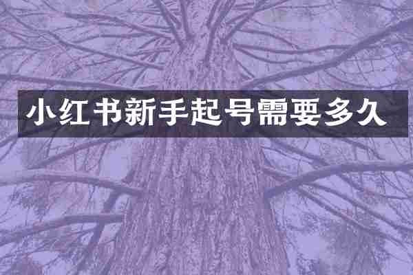 小红书新手起号需要多久